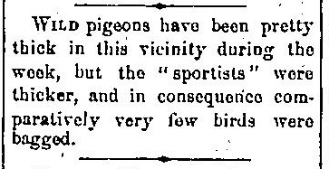News item from The Essex Record (Windsor, ON), April 2, 1875, p.2