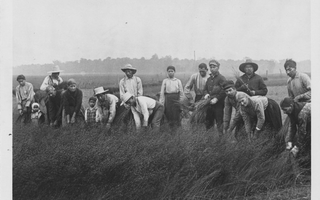 Precedented Times: The 1916 Polio Outbreak in Hullett Township