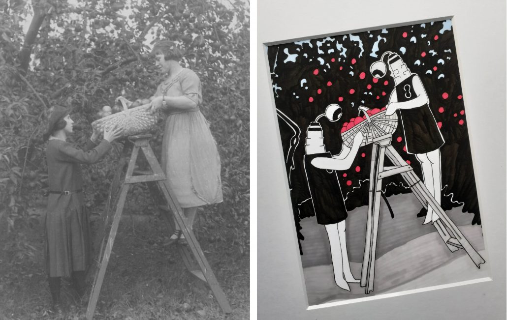 Two images - historic image of two women picking apples, with second image illustrated recreation of historic image