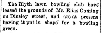 lawn bowling 3