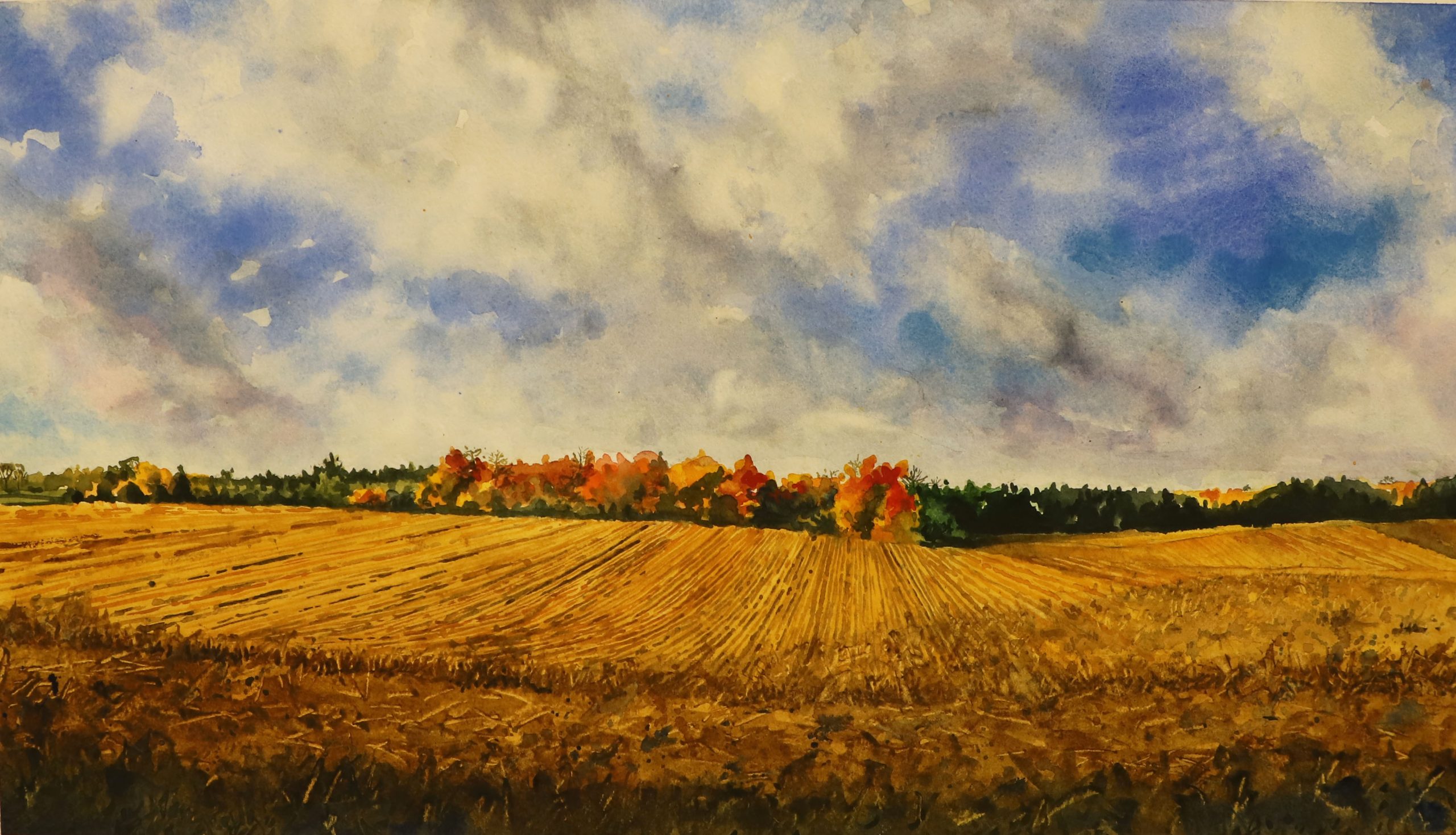 Art Show winning painting, Harvest Landscape by Roman Turczyn