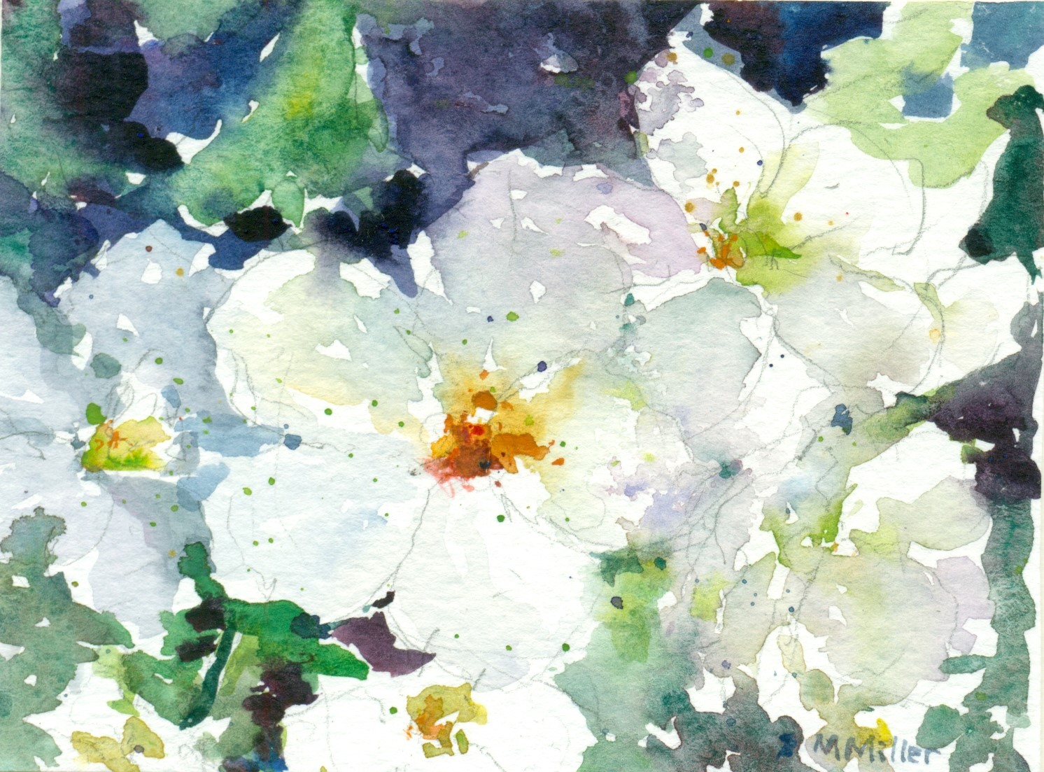 Watercolour painting of white flower blooms with yellow centres.