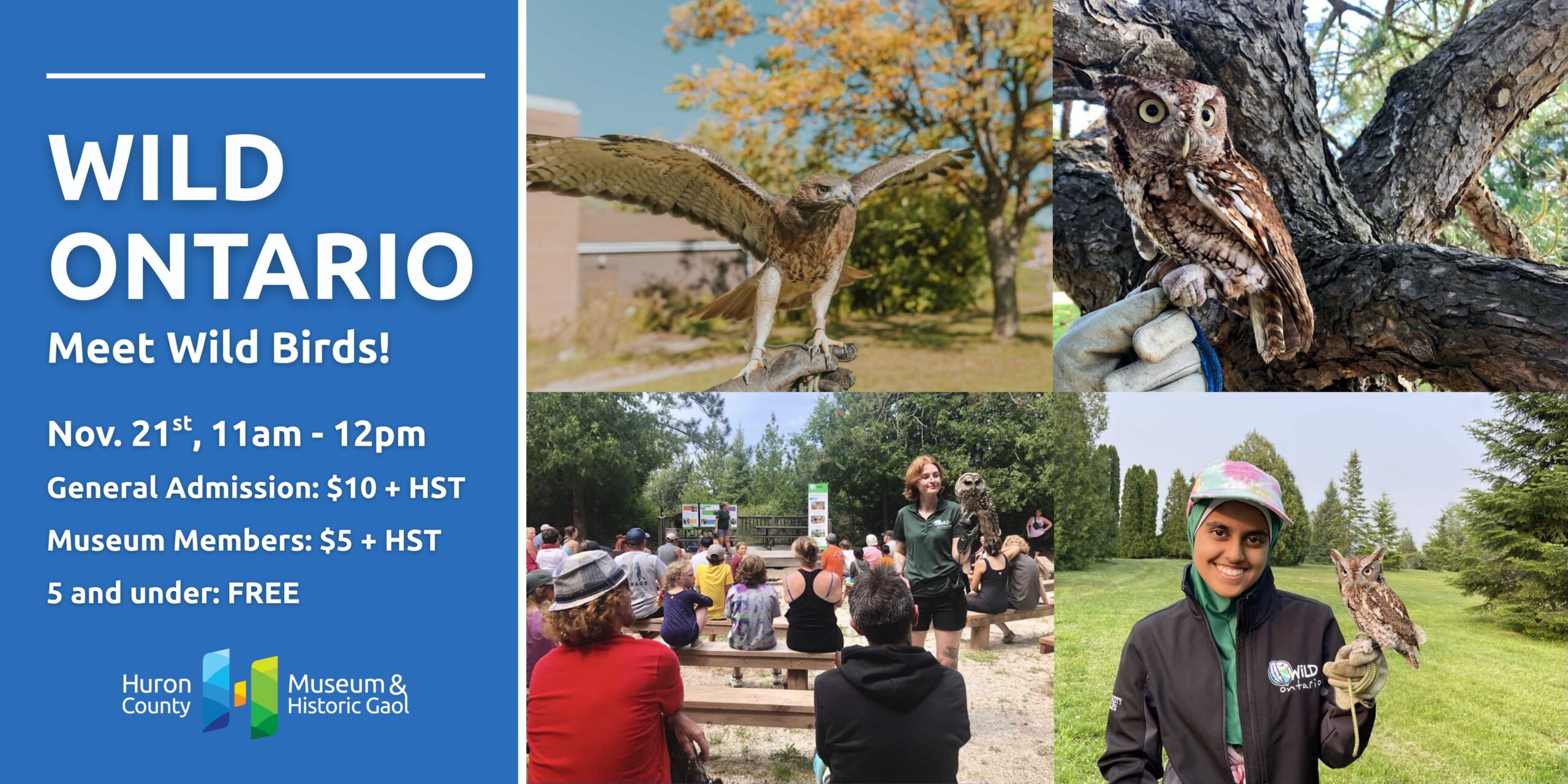 Composite photo with four panels. Top left scene of a hawk taking flight in front of tree with orange leaves. Top right image of a perched owl. Bottom left image is a crowd seated on picnic tables facing a standing woman with a bird perched on her arm. Bottom right is a smiling person in a hat with an owl perched on her hand.