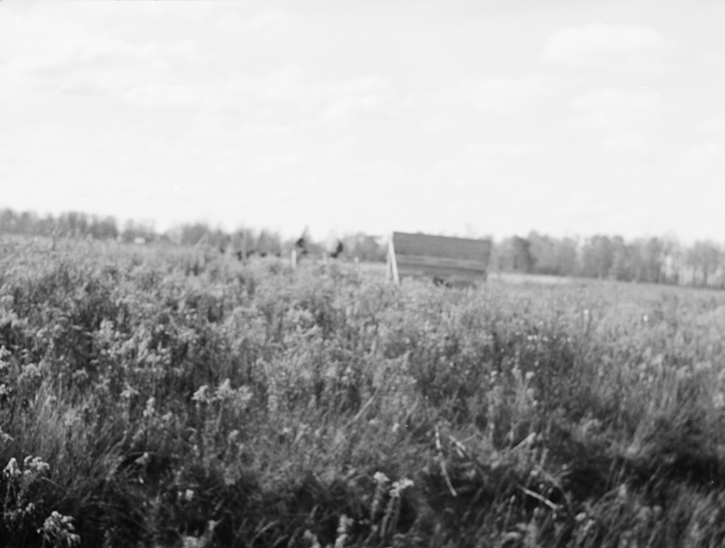 a992-0003-297