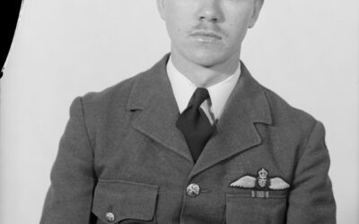 F.T. Higgins